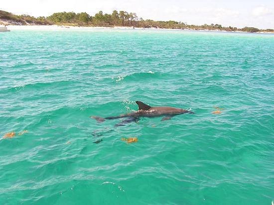 Panama City Beach Snorkeling Tours